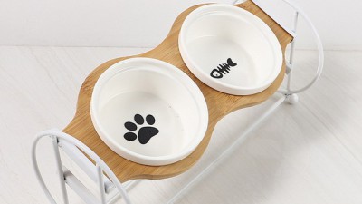 놓치면 후회! 댄싱도그 초특가 후기🐶